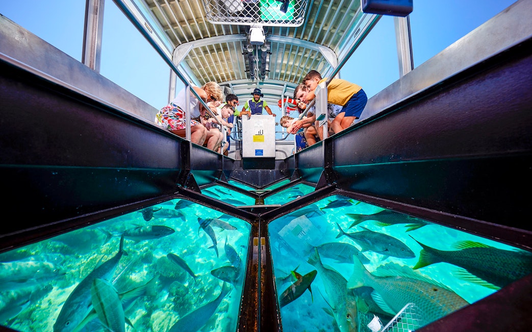 Tourists on a glass bottom boat viewing coral and fish at Great Barrier Reef near Cairns, Australia.