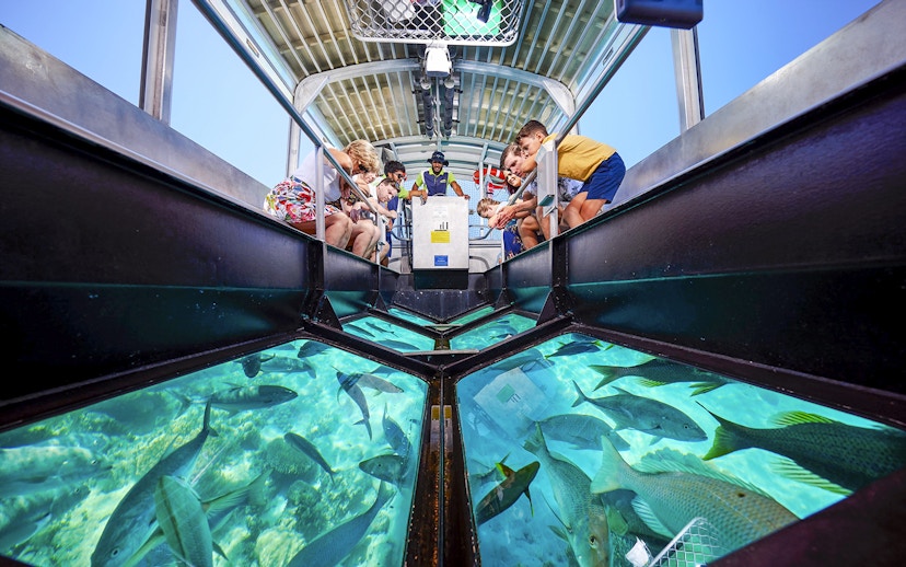 Tourists on a glass bottom boat viewing coral and fish at Great Barrier Reef near Cairns, Australia.