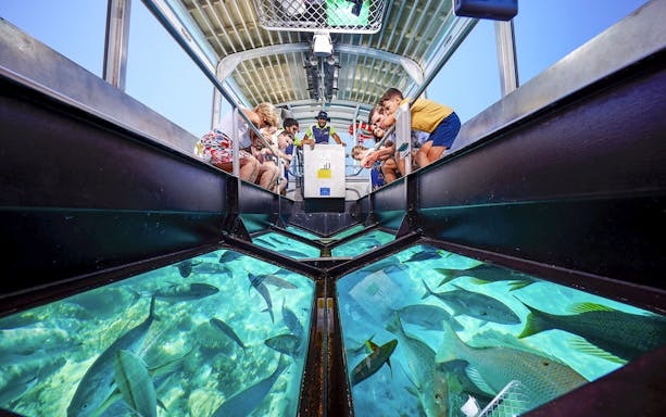 Tourists on a glass bottom boat viewing coral and fish at Great Barrier Reef near Cairns, Australia.