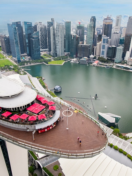 Gardens by the Bay and Marina Bay Sands rooftop view in Singapore with city skyline.