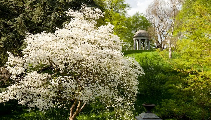 Jardin botanique Londres
