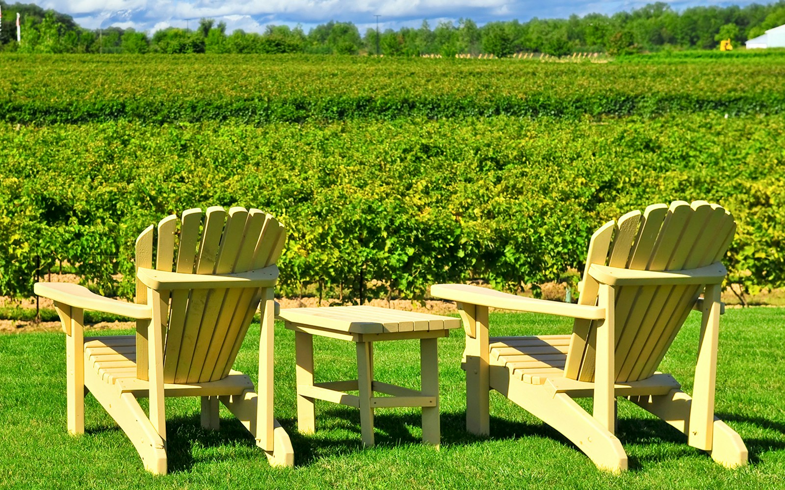 Niagara Falls Wine Tours