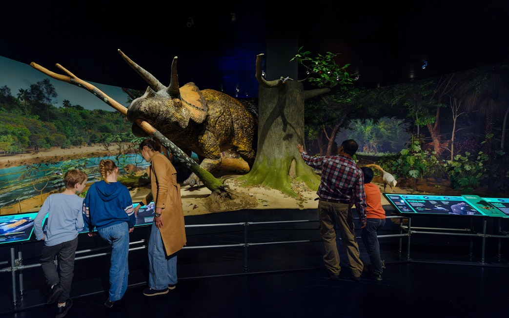 Visitors observing a triceratops model at the Impact: The End of the Age of Dinosaurs exhibit.