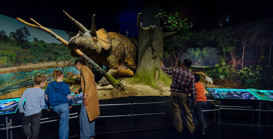 Visitors observing a triceratops model at the Impact: The End of the Age of Dinosaurs exhibit.