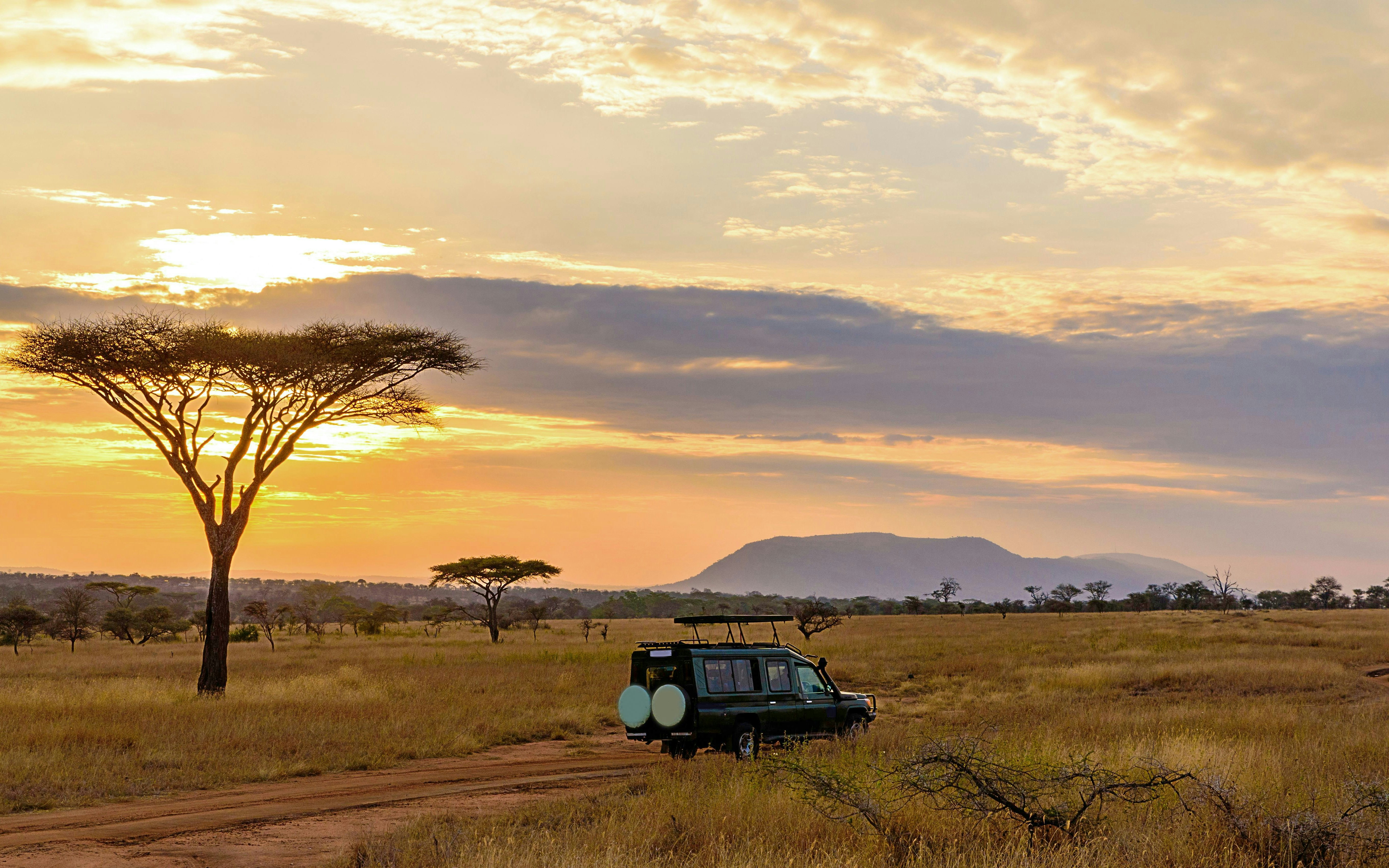 Safari vehicle under acacia trees at sunset in Serengeti, Tanzania.