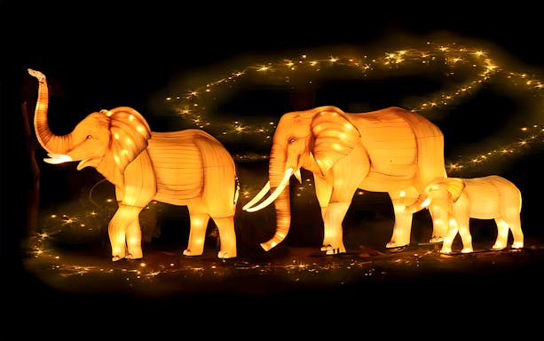 Elephant lanterns glowing at Dubai Garden Glow.