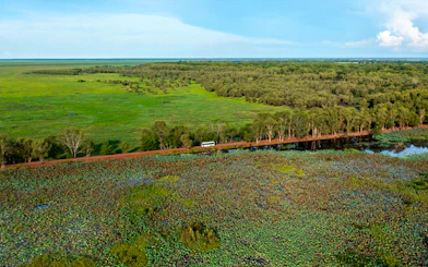 Bus traveling through lush landscape in Litchfield National Park, near Darwin.