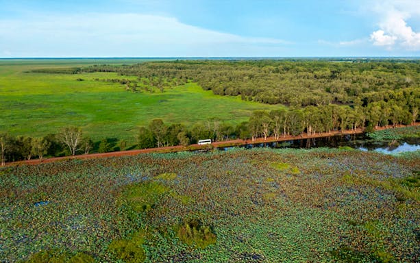 19637 - Darwin - From Darwin: Litchfield National Park Day Tour with Optional Lunch - 10
