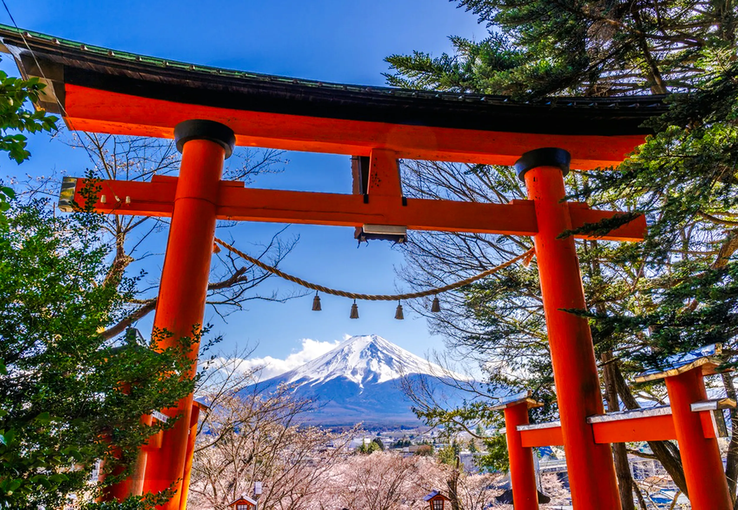 From Tokyo: Lake Kawaguchi Ropeway and Arakurayama Sengen Park Tour Image 7