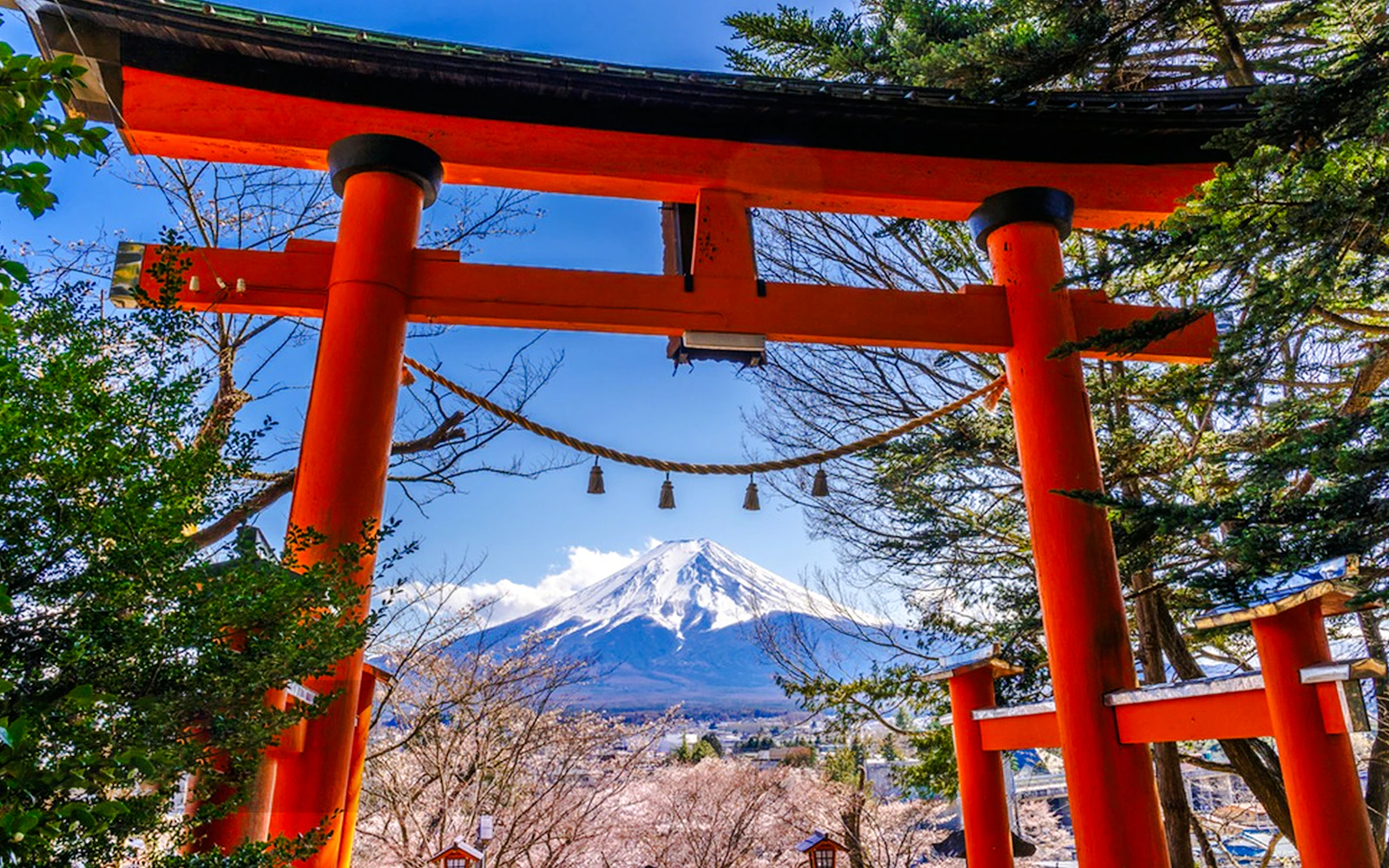 From Tokyo: Lake Kawaguchi Ropeway and Arakurayama Sengen Park Tour Image 7
