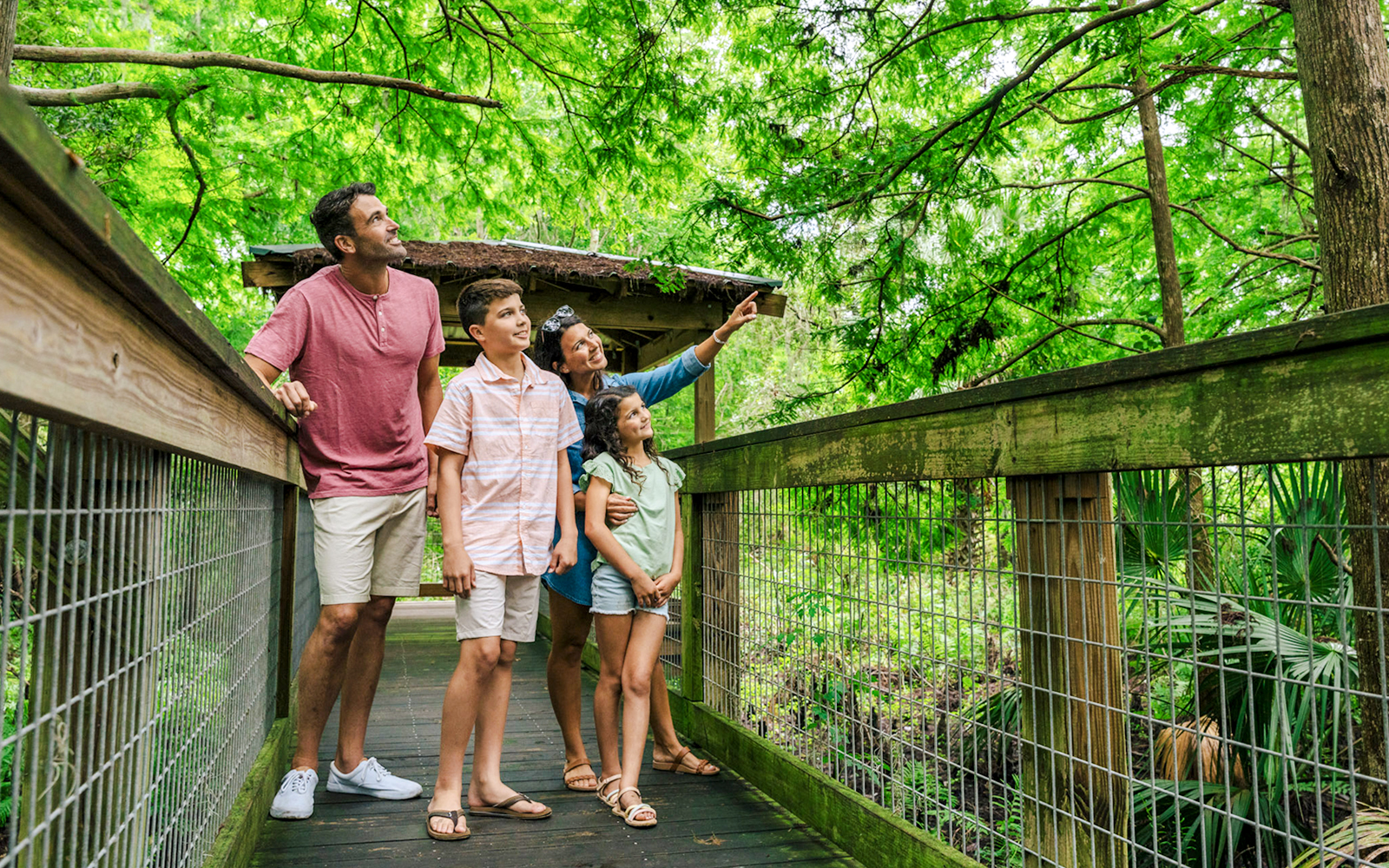 Guests exploring boardwalk in Everglades wildlife park.