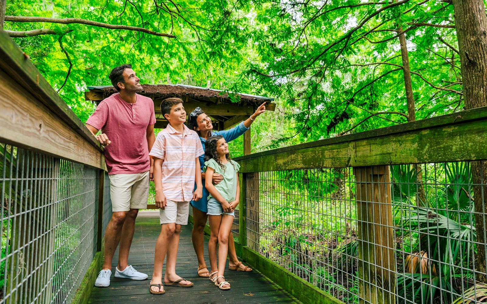 Guests exploring boardwalk in Everglades wildlife park.