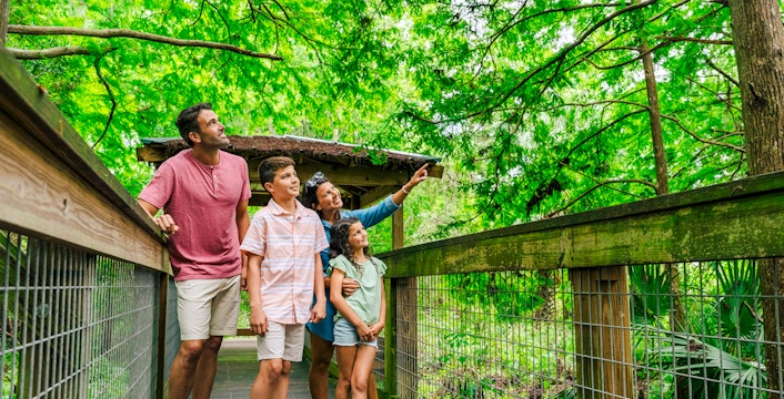 Guests exploring boardwalk in Everglades wildlife park.