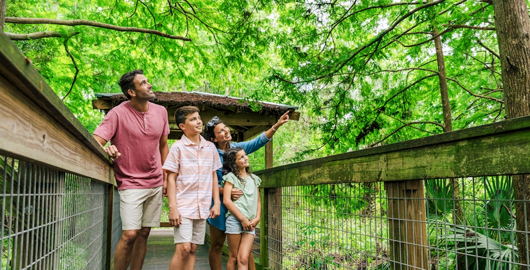 Guests exploring boardwalk in Everglades wildlife park.