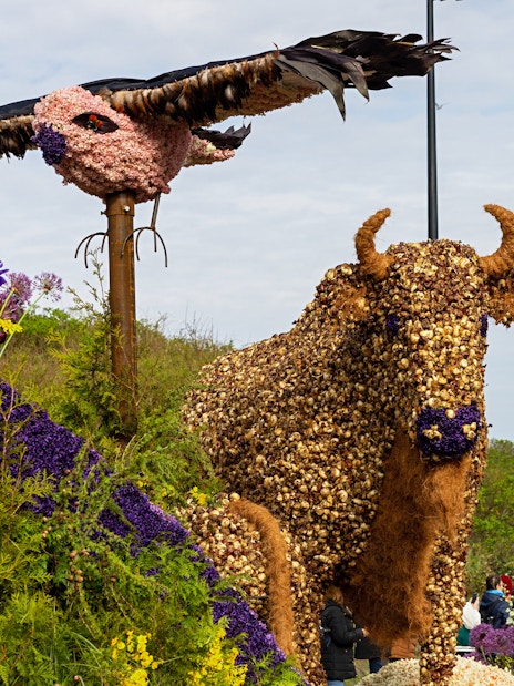 Bull and bird flower installations at a parade with vibrant purple and yellow floral displays.