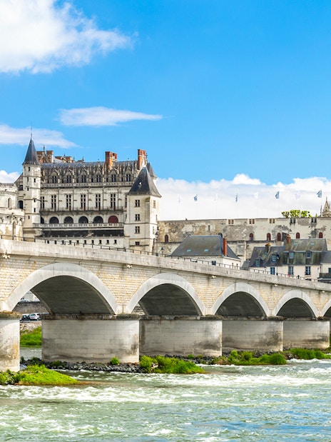 Bridge leading to Blois Castle in France with river in foreground.