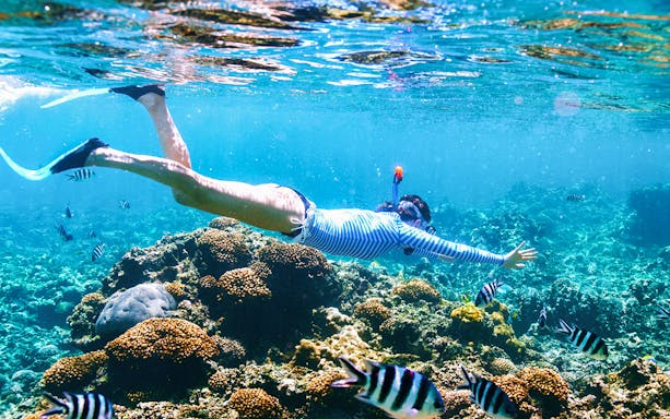 Snorkeler exploring coral reef with fish in Orange Bay.