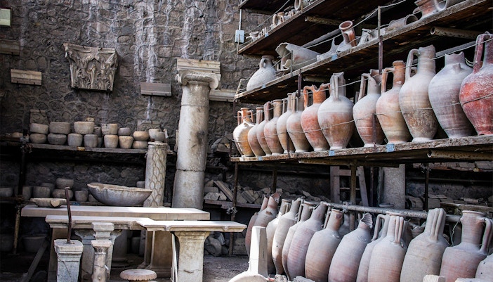 Herculaneum and Pompeii Tours