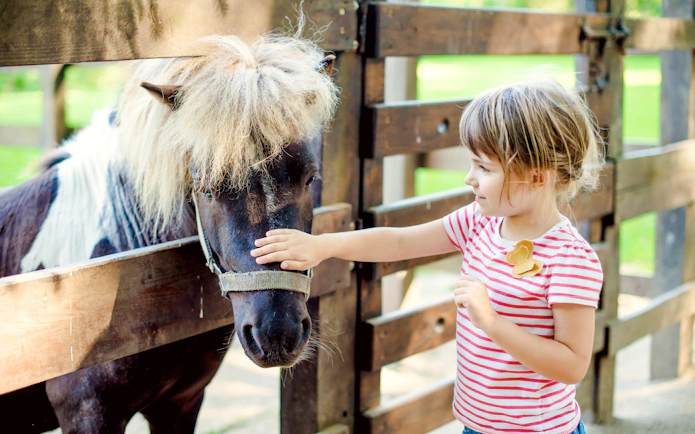 Child petting a pony at Oltremare Park.