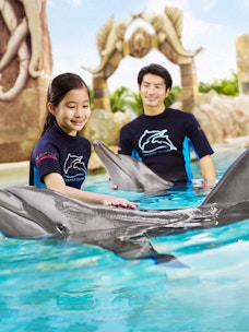 Sentosa Island Attractions | Exclusive Offers Online