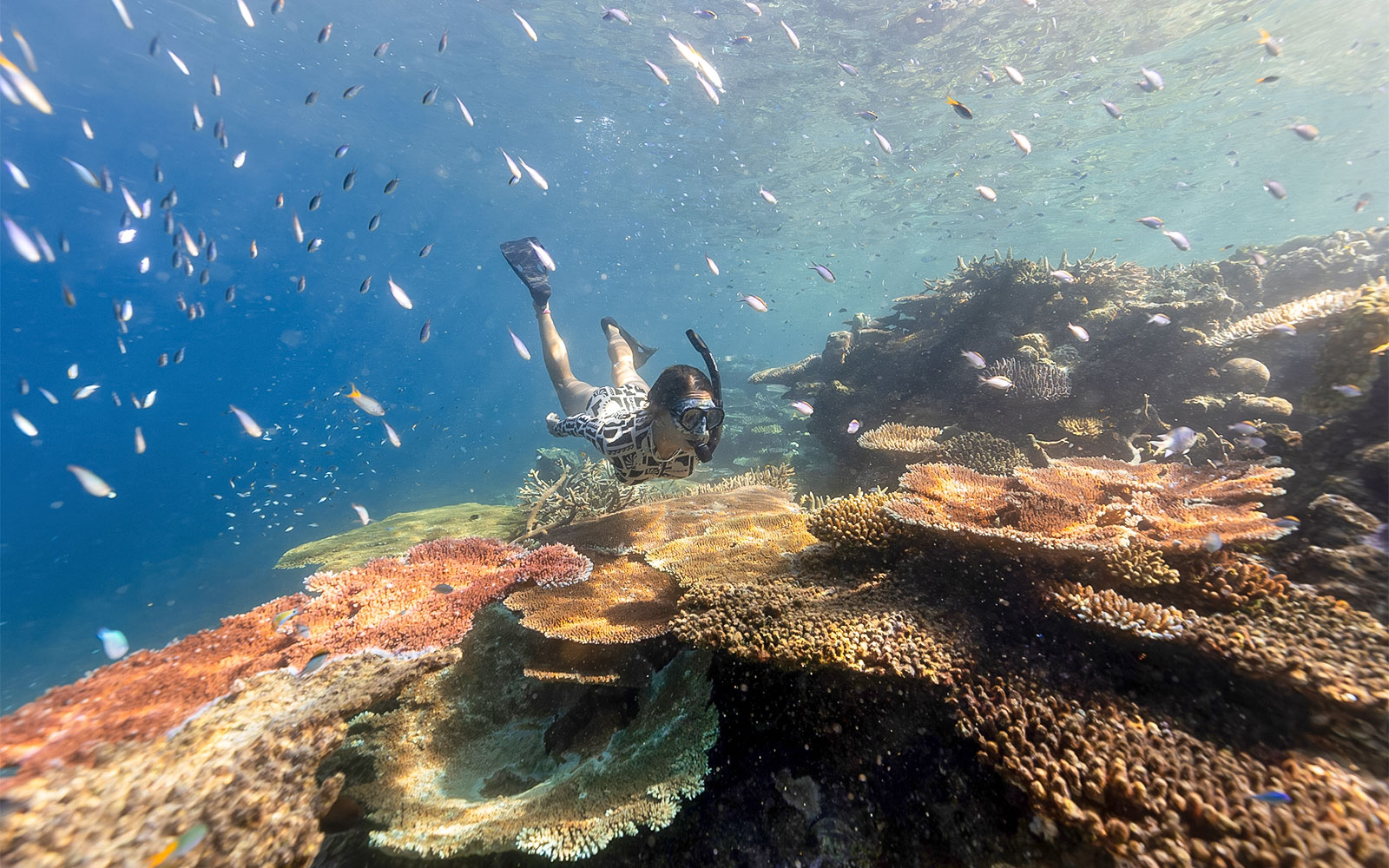 Tickets to Outer Reef Snorkel Adventure with Lunch & Tea