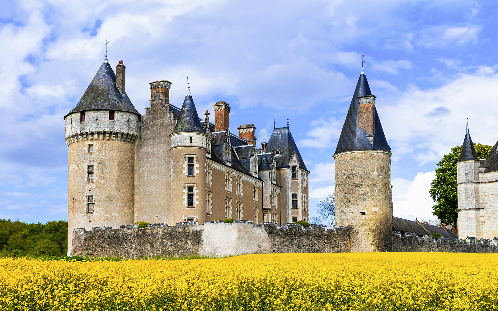 Loire Valley castle with conical towers and stone walls surrounded by yellow flowers.