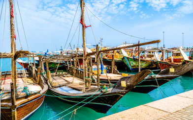 From Doha: Private North Qatar Day Trip to Al Zubarah UNESCO Site, Al Khor and Al Thakhira Mangroves