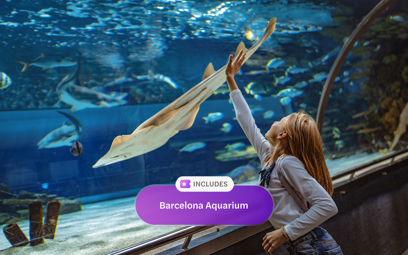 Child interacting with marine life at Barcelona Aquarium exhibit.