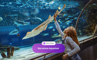 Child interacting with marine life at Barcelona Aquarium exhibit.
