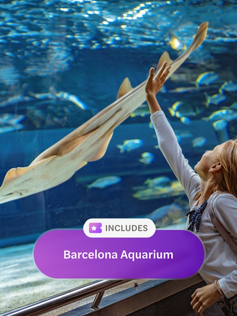Child interacting with marine life at Barcelona Aquarium exhibit.