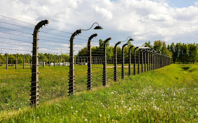 Barbed wire fence at Auschwitz-Birkenau concentration camp, Poland.