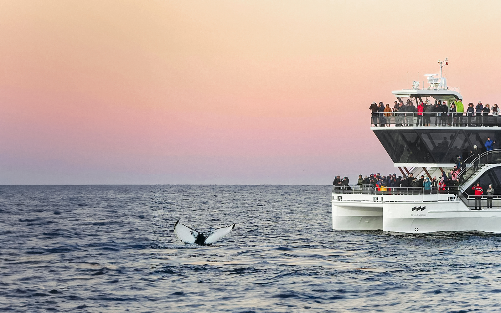 Stopping for close encounters