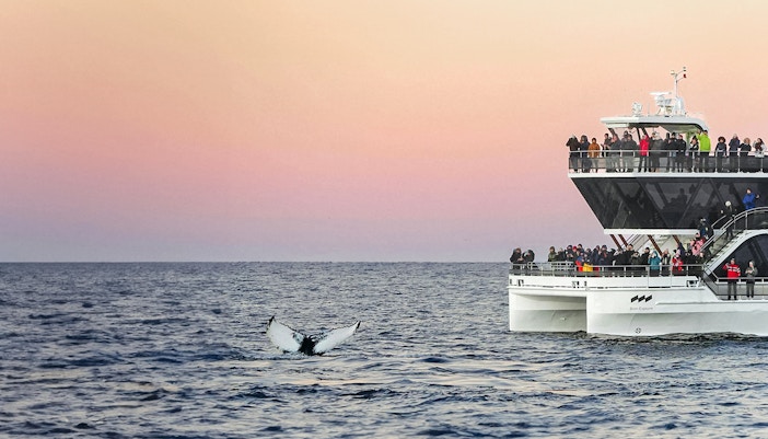 Stopping for close encounters