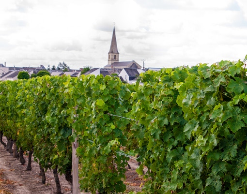 Loire Valley Wineries