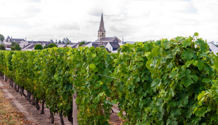 Loire Valley Wineries