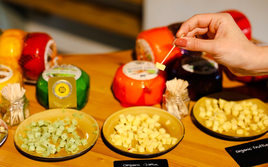 Cheese samples at Henri Willig Cheese Farm tasting event.