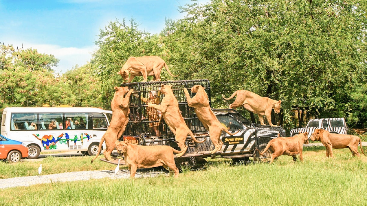 Safari World Bangkok tour