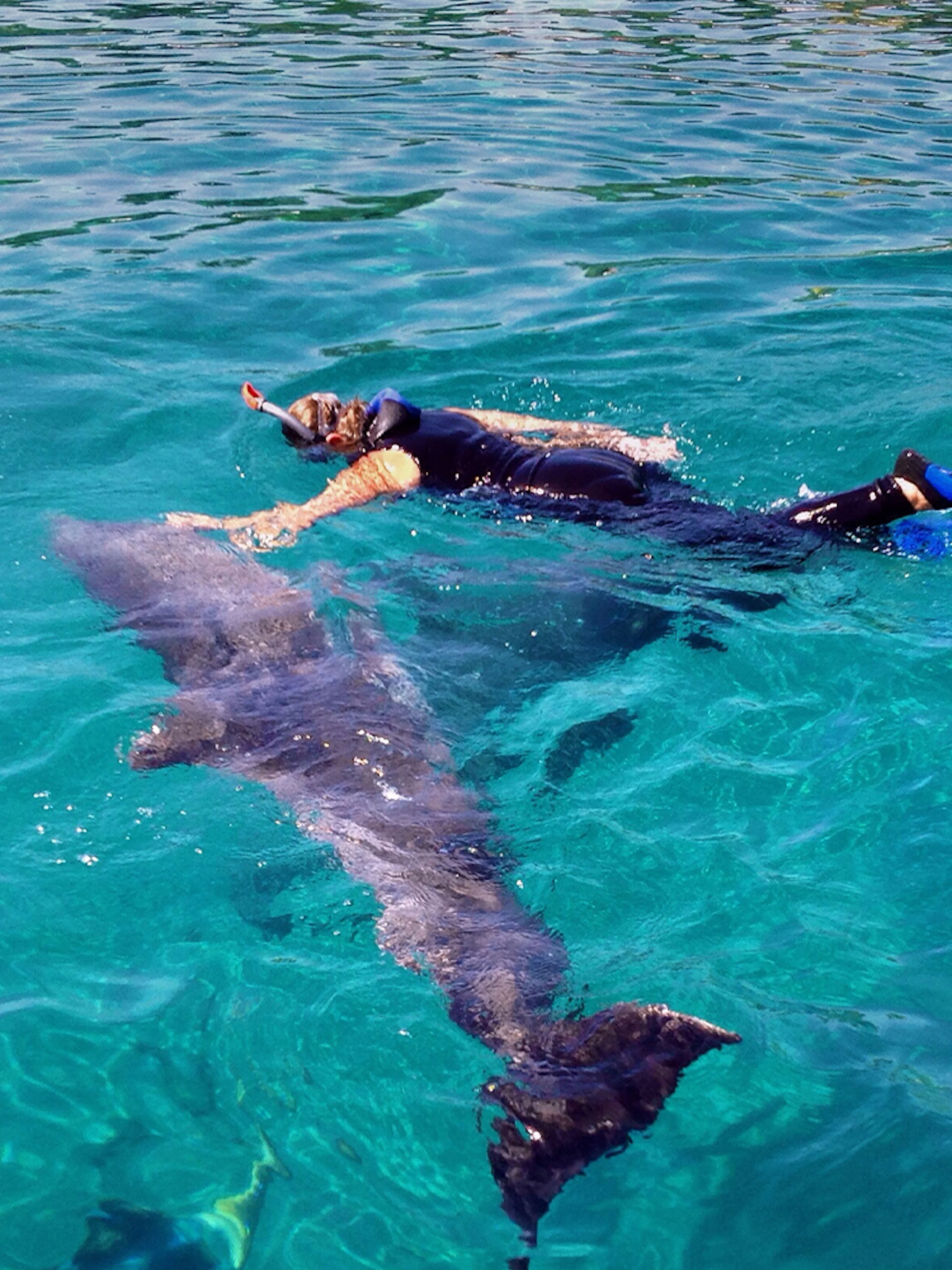 Snorkeler swimming with a dolphin in clear waters of Tenerife.