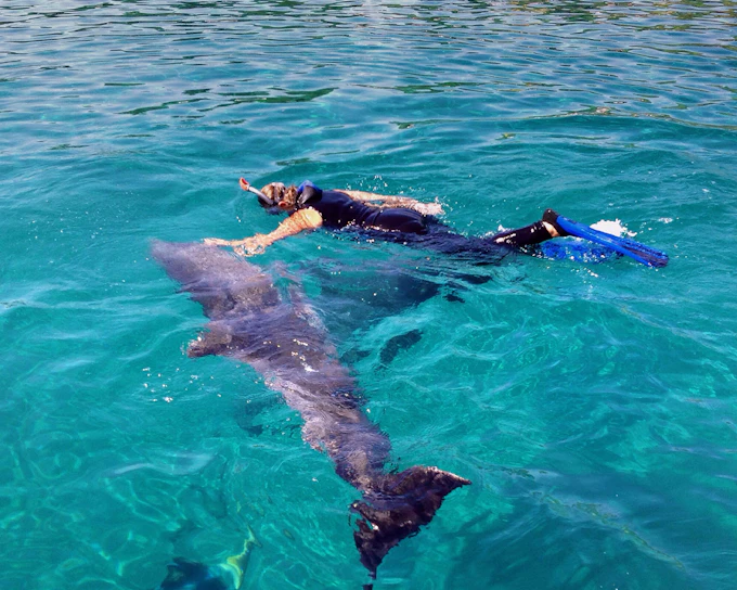 Giftun 6 Islands Speedboat Tour with Dolphin Watching, Snorkeling, Lunch & Transfers