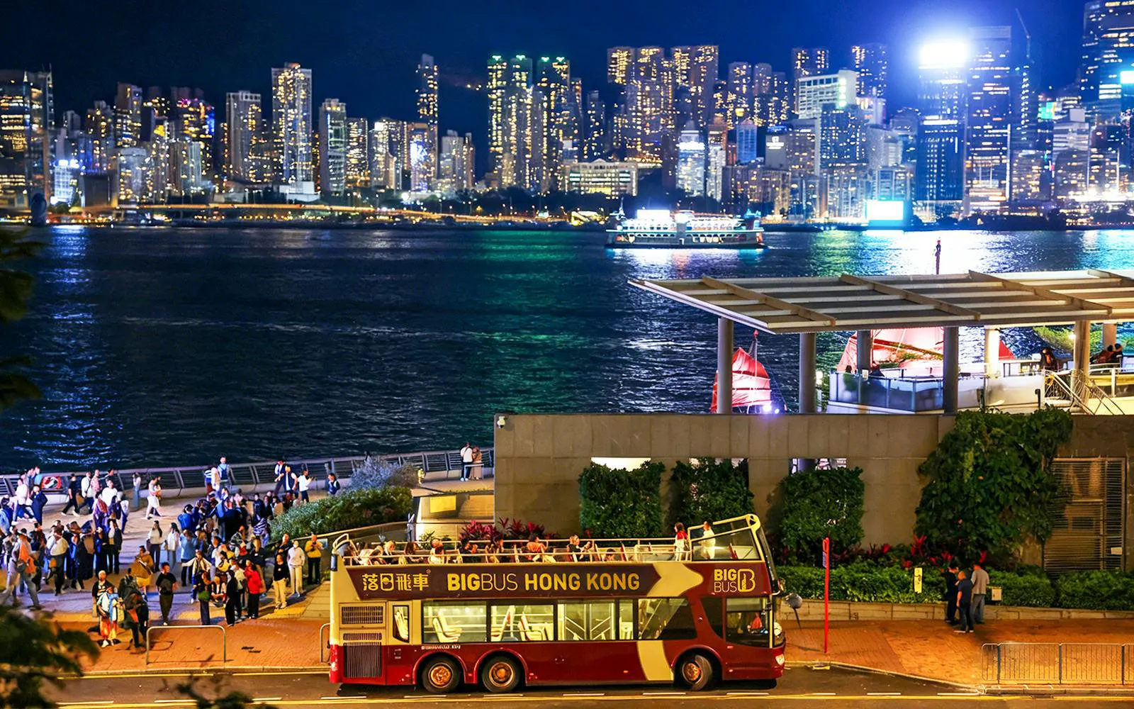 Big Bus tour in Hong Kong with Kowloon skyline at night.