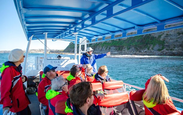 Tourists on a boat tour in Newcastle, guide pointing at coastal cliffs.