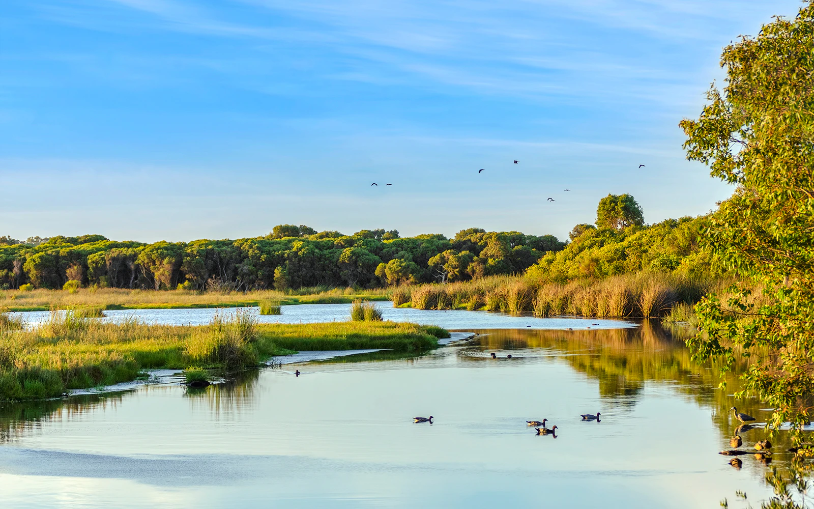 Yanchep National Park