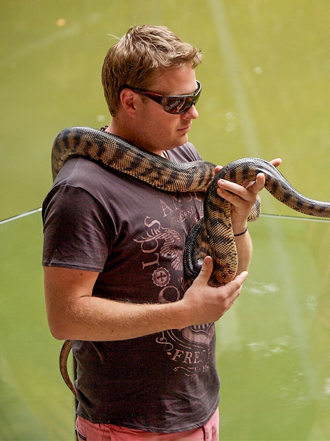 Man holding snake at Hartleys Crocodile Adventures, Queensland.