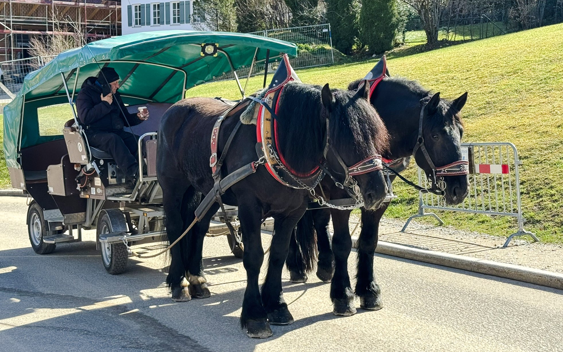 Horse carriage ride near Hohenschwangau Castle with two black horses.