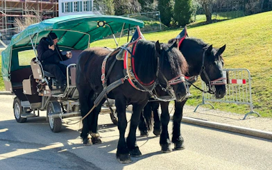 Horse carriage ride near Hohenschwangau Castle with two black horses.