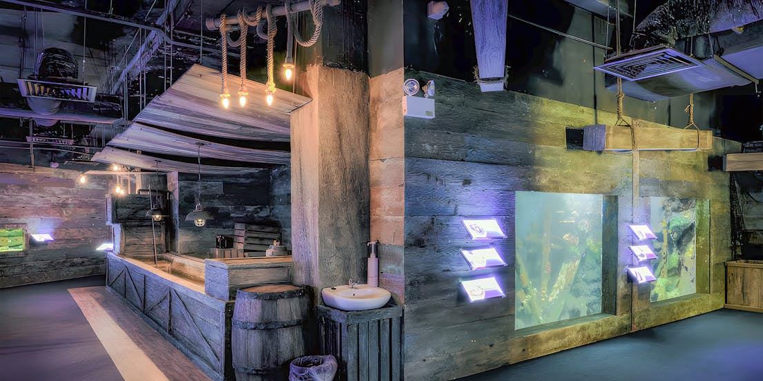 The Top Boutique Aquarium