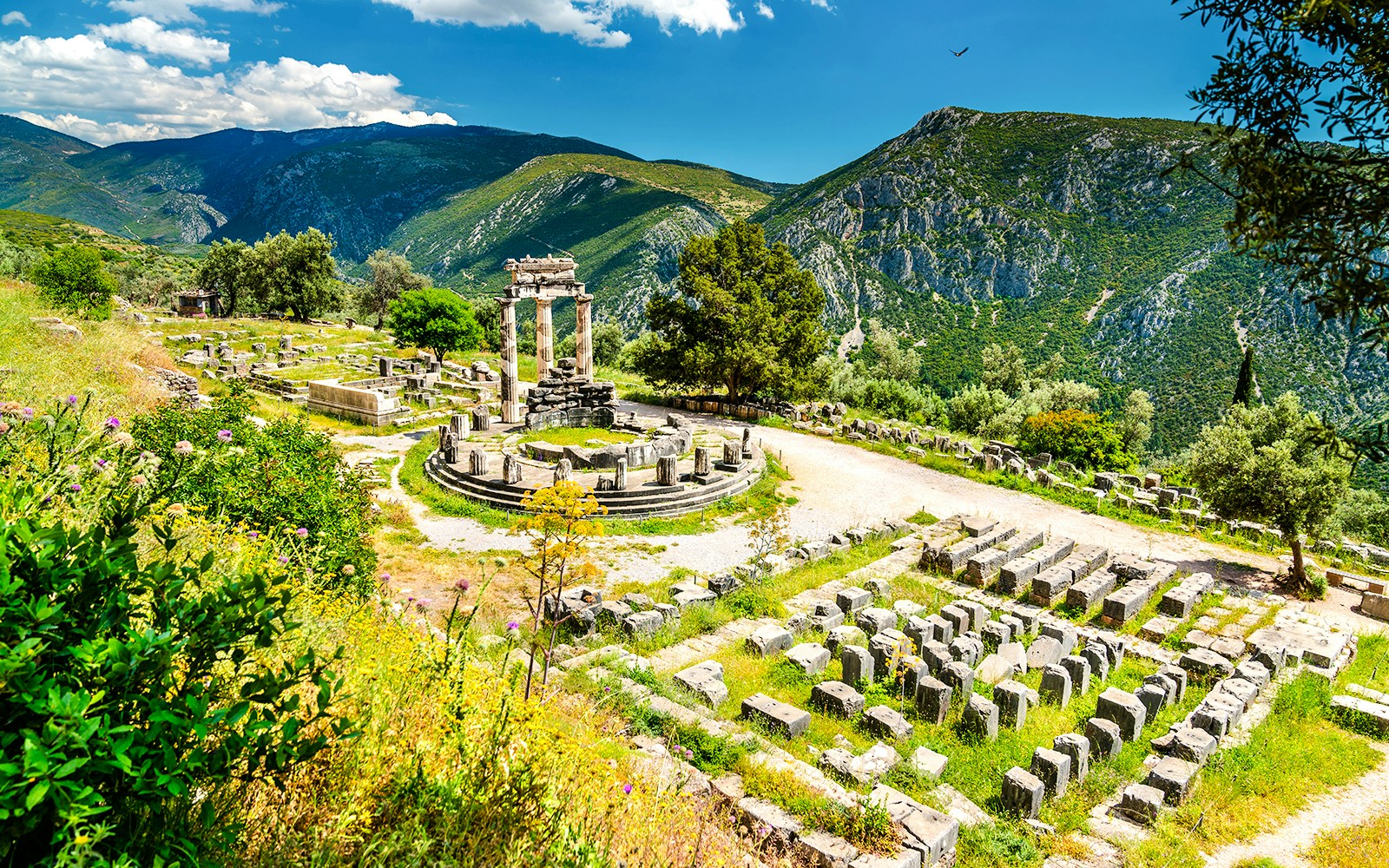 Tholos of Athena Pronaia in Delphi with surrounding ruins and mountainous landscape.