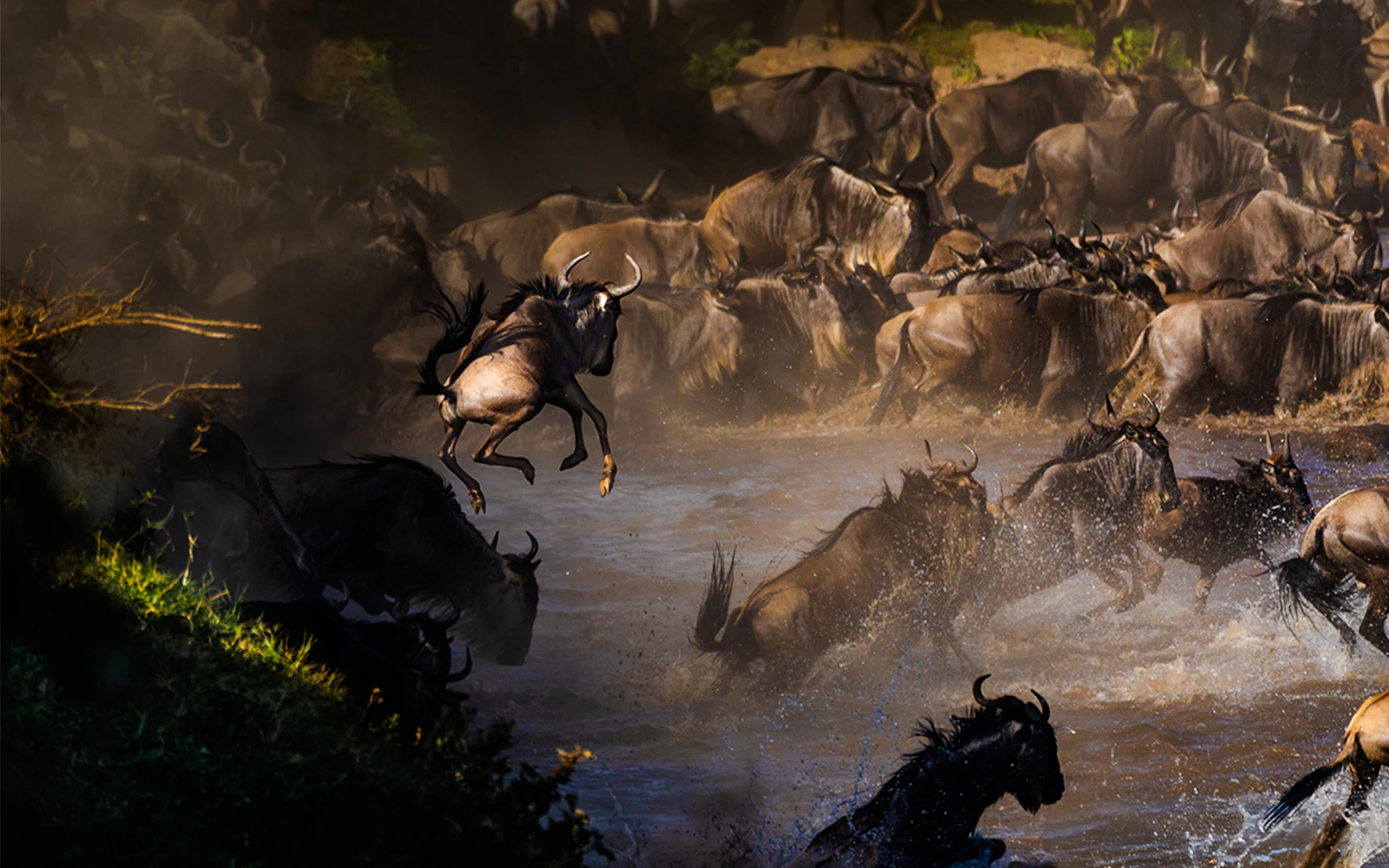 6-Day Tanzania Safari: Serengeti and Ngorongoro Crater Image 4