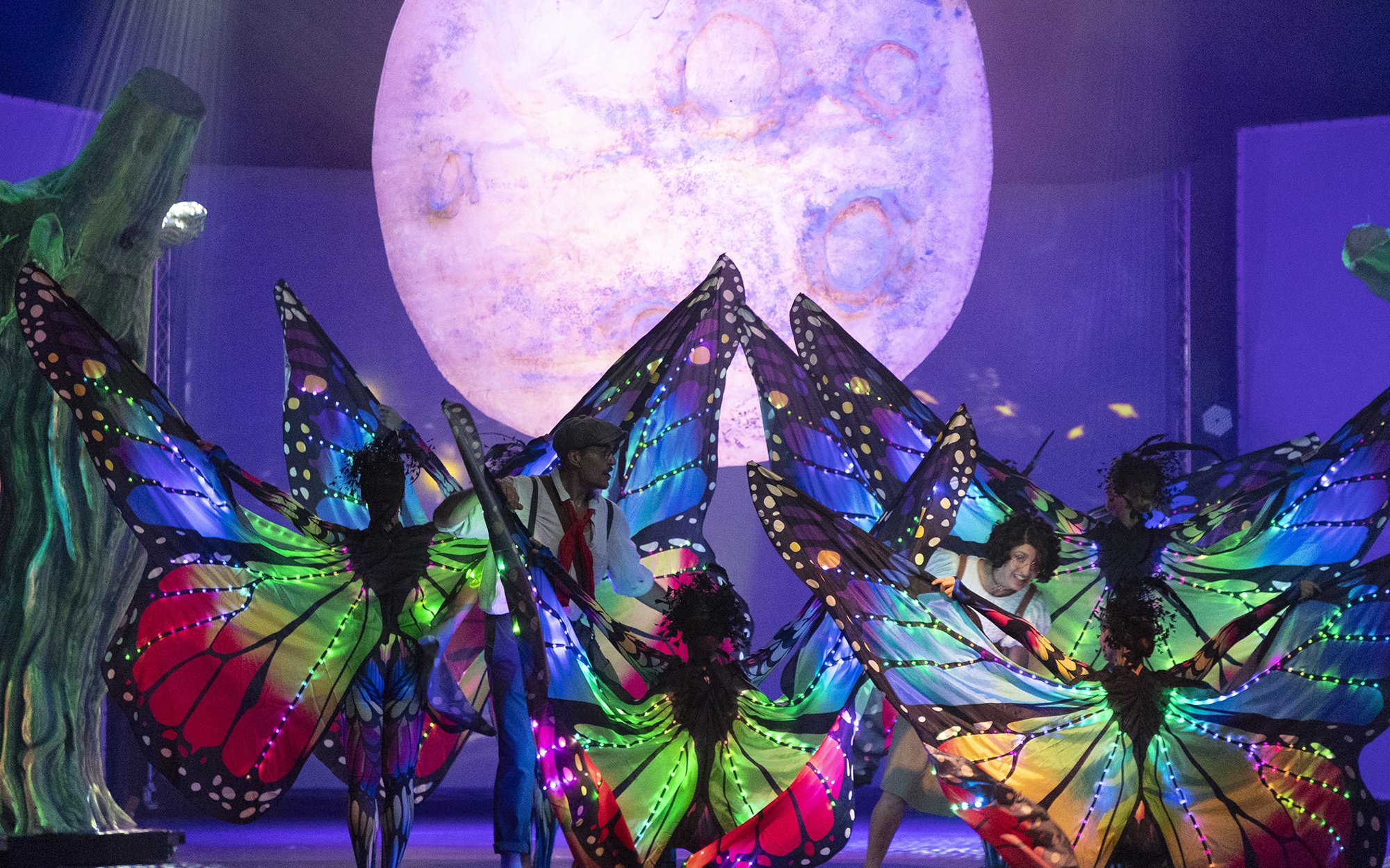 Performers in colorful butterfly costumes at Terra Mitica Benidorm show.