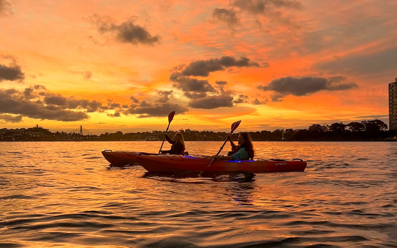 Kayakers paddling on Sydney Harbour at sunset.